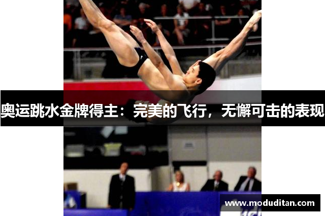 奥运跳水金牌得主：完美的飞行，无懈可击的表现