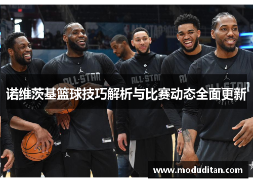 诺维茨基篮球技巧解析与比赛动态全面更新