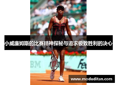 小威廉姆斯的比赛精神探秘与追求极致胜利的决心