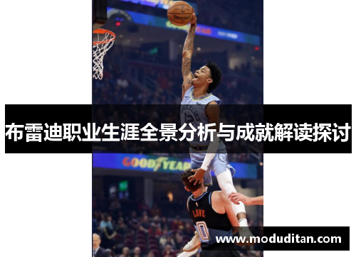 布雷迪职业生涯全景分析与成就解读探讨